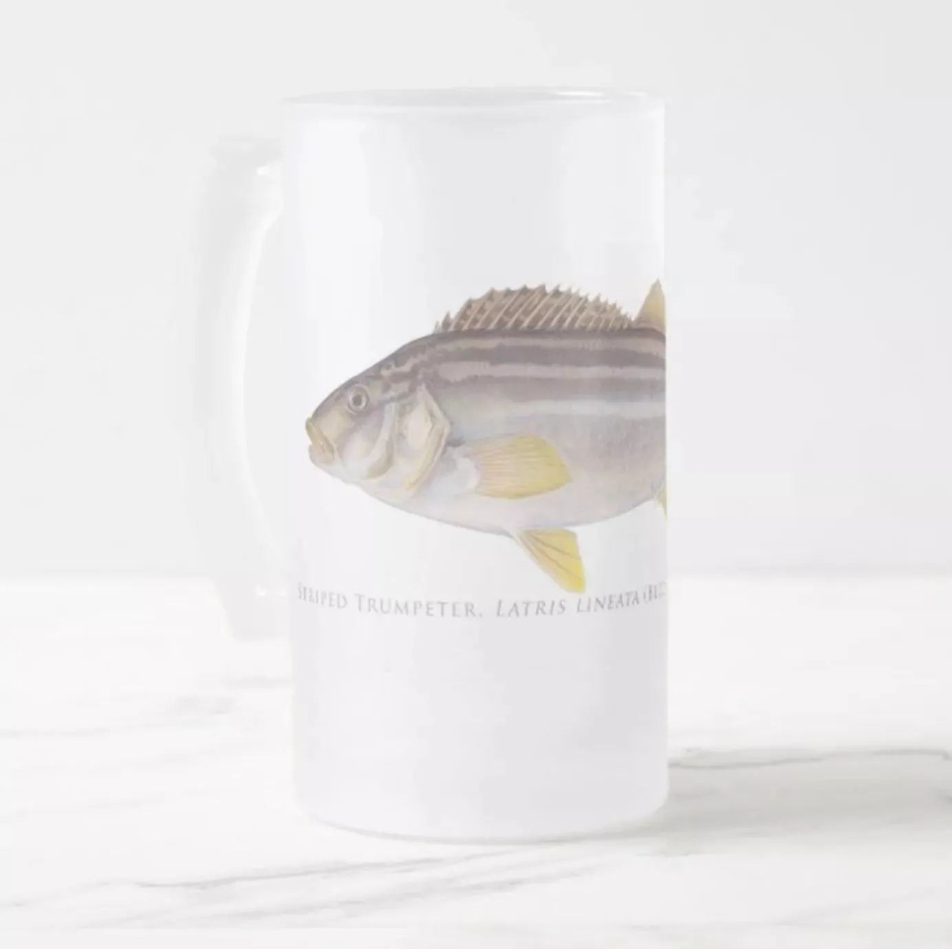 Striped Trumpeter - Frosted Glass Stein