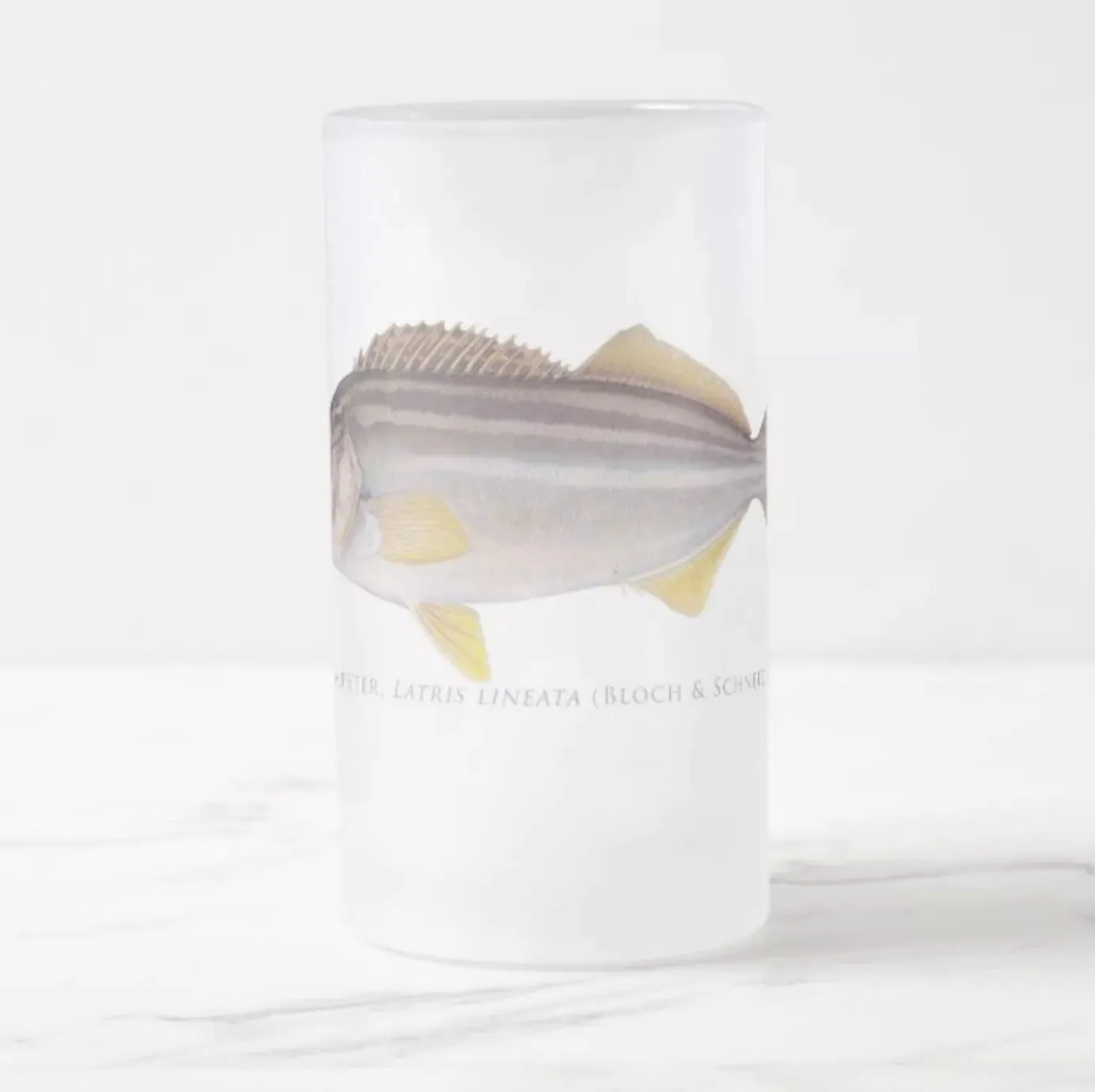 Striped Trumpeter - Frosted Glass Stein
